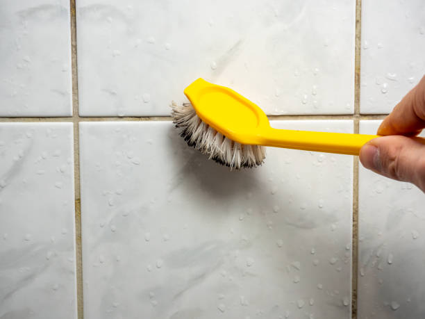Best Office Mold Removal Services  in Poth, TX