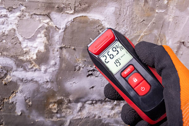 Best Fast Mold Removal  in Poth, TX