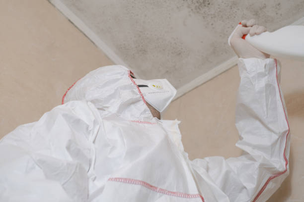 Best Mold Testing  in Poth, TX