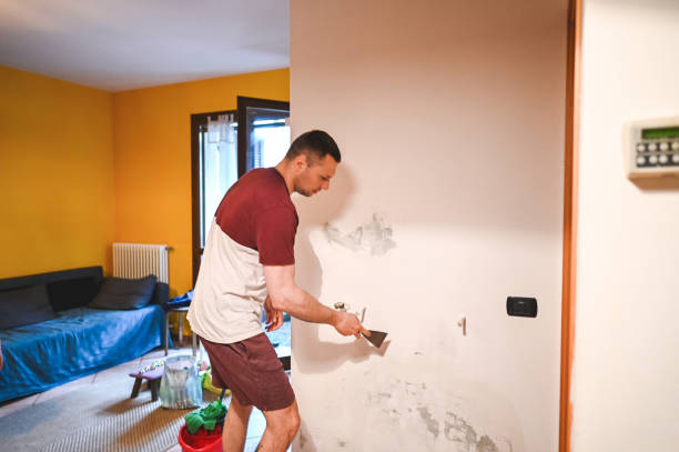 Reliable Poth, TX Mold Removal Solutions