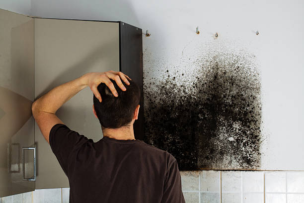 Best Mold Testing  in Poth, TX